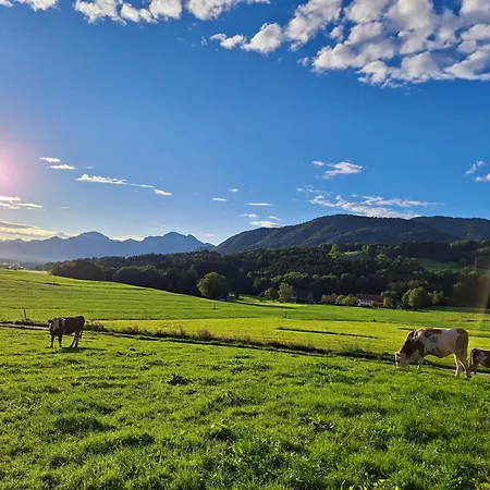 Schusterhof Urlaub Auf Dem Bauernhof * Bernau am Chiemsee