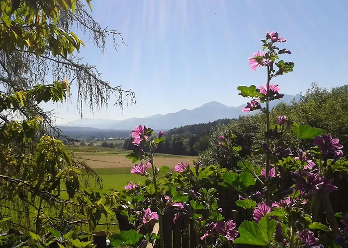 Vakantieboerderij Schusterhof Urlaub Auf Dem Bauernhof