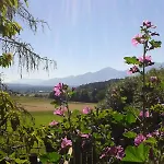 Bauernhof Schusterhof Urlaub Auf Dem Bauernhof